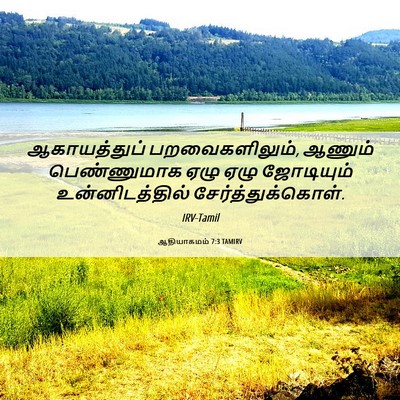 Picture 06 - ஆதியாகமம் 7:3 TAMIRV - ஆகாயத்துப் - Bible Verse Picture