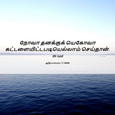 Picture 06 - ஆதியாகமம் 7:5 TAMIRV - நோவா தனக்குக் - Bible Verse Picture