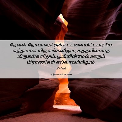 Picture 06 - ஆதியாகமம் 7:8 TAMIRV - தேவன் - Bible Verse Picture