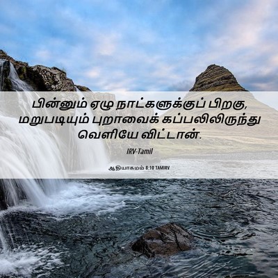 Picture 06 - ஆதியாகமம் 8:10 TAMIRV - பின்னும் ஏழு - Bible Verse Picture