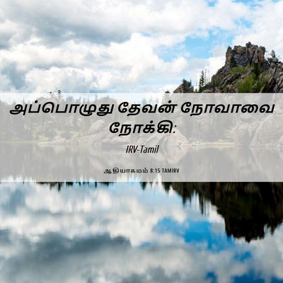 Picture 06 - ஆதியாகமம் 8:15 TAMIRV - அப்பொழுது தேவன் - Bible Verse Picture