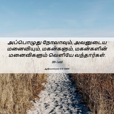 Picture 06 - ஆதியாகமம் 8:18 TAMIRV - அப்பொழுது - Bible Verse Picture