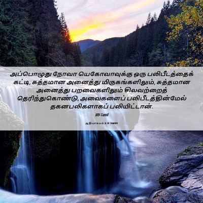 Picture 06 - ஆதியாகமம் 8:20 TAMIRV - அப்பொழுது நோவா - Bible Verse Picture