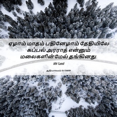 Picture 06 - ஆதியாகமம் 8:4 TAMIRV - ஏழாம் மாதம் - Bible Verse Picture