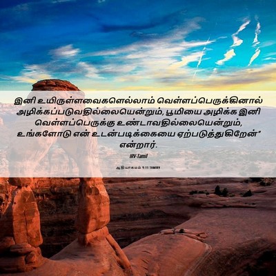 Picture 06 - ஆதியாகமம் 9:11 TAMIRV - இனி - Bible Verse Picture