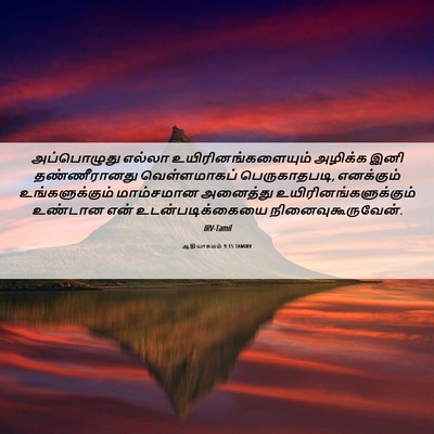Picture 06 - ஆதியாகமம் 9:15 TAMIRV - அப்பொழுது எல்லா - Bible Verse Picture