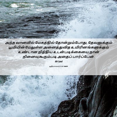 Picture 06 - ஆதியாகமம் 9:16 TAMIRV - அந்த வானவில் - Bible Verse Picture