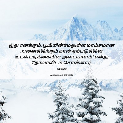 Picture 06 - ஆதியாகமம் 9:17 TAMIRV - இது எனக்கும், - Bible Verse Picture