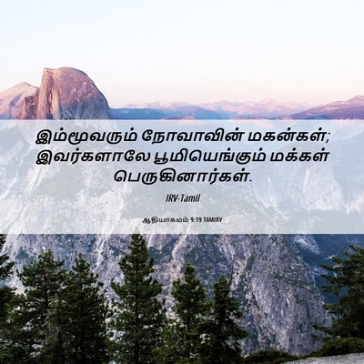 Picture 06 - ஆதியாகமம் 9:19 TAMIRV - இம்மூவரும் - Bible Verse Picture
