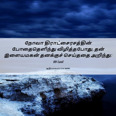 Picture 06 - ஆதியாகமம் 9:24 TAMIRV - நோவா - Bible Verse Picture