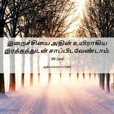 Picture 06 - ஆதியாகமம் 9:4 TAMIRV - இறைச்சியை அதின் - Bible Verse Picture