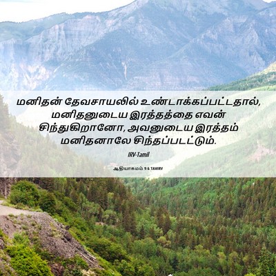 Picture 06 - ஆதியாகமம் 9:6 TAMIRV - மனிதன் தேவசாயலில் - Bible Verse Picture