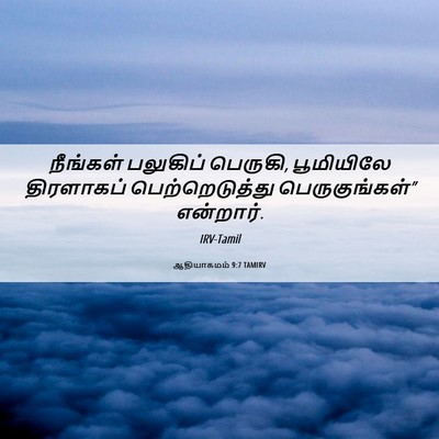 Picture 06 - ஆதியாகமம் 9:7 TAMIRV - நீங்கள் பலுகிப் - Bible Verse Picture