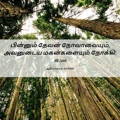 Picture 06 - ஆதியாகமம் 9:8 TAMIRV - பின்னும் தேவன் - Bible Verse Picture