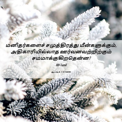 Picture 06 - ஆபகூக் 1:14 TAMIRV - மனிதர்களைச் - Bible Verse Picture