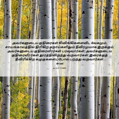 Picture 06 - ஆபகூக் 1:8 TAMIRV - அவர்களுடைய - Bible Verse Picture