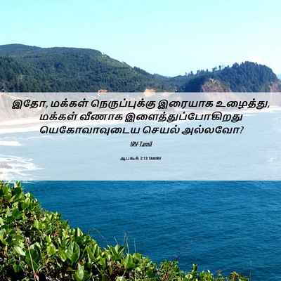 Picture 06 - ஆபகூக் 2:13 TAMIRV - இதோ, மக்கள் - Bible Verse Picture