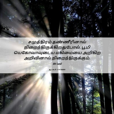 Picture 06 - ஆபகூக் 2:14 TAMIRV - சமுத்திரம் - Bible Verse Picture
