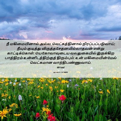 Picture 06 - ஆபகூக் 2:16 TAMIRV - நீ மகிமையினால் - Bible Verse Picture
