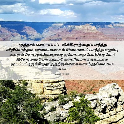 Picture 06 - ஆபகூக் 2:19 TAMIRV - மரத்தால் - Bible Verse Picture