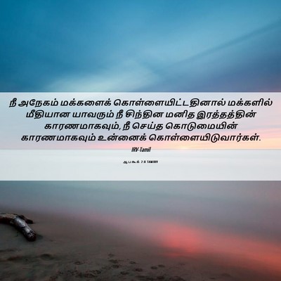 Picture 06 - ஆபகூக் 2:8 TAMIRV - நீ அநேகம் - Bible Verse Picture