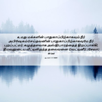 Picture 06 - ஆபகூக் 3:13 TAMIRV - உமது மக்களின் - Bible Verse Picture