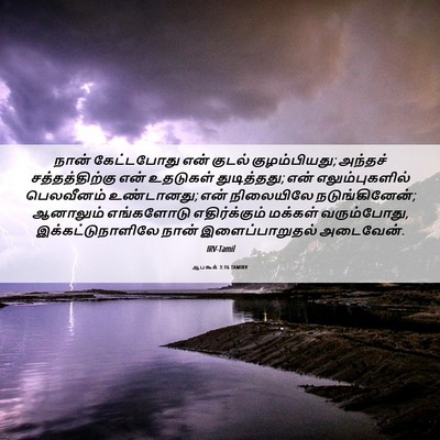 Picture 06 - ஆபகூக் 3:16 TAMIRV - நான் கேட்டபோது - Bible Verse Picture