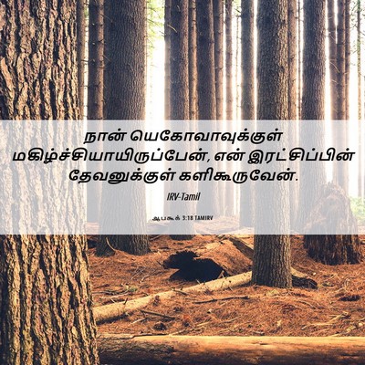Picture 06 - ஆபகூக் 3:18 TAMIRV - நான் - Bible Verse Picture