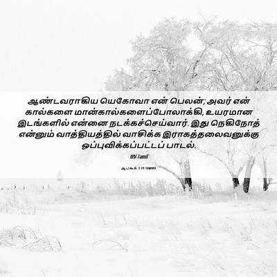 Picture 06 - ஆபகூக் 3:19 TAMIRV - ஆண்டவராகிய யெகோவா - Bible Verse Picture