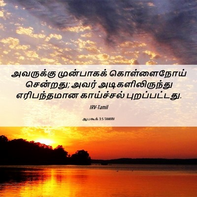 Picture 06 - ஆபகூக் 3:5 TAMIRV - அவருக்கு - Bible Verse Picture