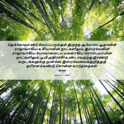 Picture 06 - ஆமோஸ் 1:1 TAMIRV - தெக்கோவா ஊர் - Bible Verse Picture