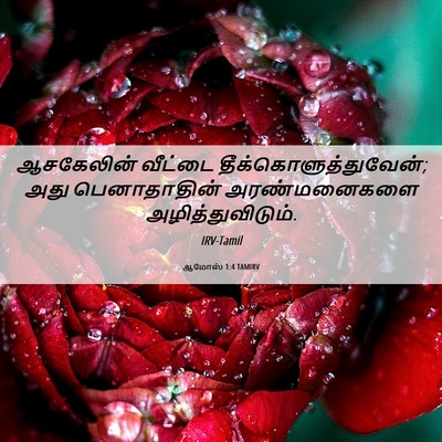 Picture 06 - ஆமோஸ் 1:4 TAMIRV - ஆசகேலின் வீட்டை - Bible Verse Picture