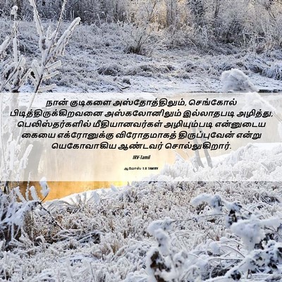 Picture 06 - ஆமோஸ் 1:8 TAMIRV - நான் குடிகளை - Bible Verse Picture
