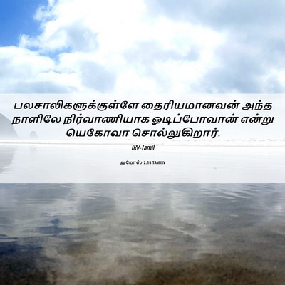 Picture 06 - ஆமோஸ் 2:16 TAMIRV -  - Bible Verse Picture