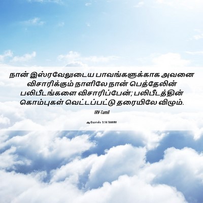 Picture 06 - ஆமோஸ் 3:14 TAMIRV - நான் இஸ்ரவேலுடைய - Bible Verse Picture