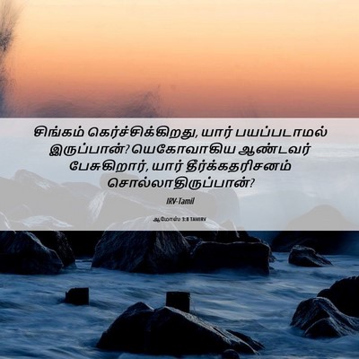 Picture 06 - ஆமோஸ் 3:8 TAMIRV - சிங்கம் - Bible Verse Picture