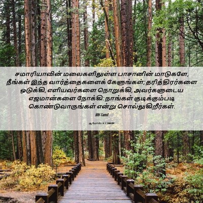 Picture 06 - ஆமோஸ் 4:1 TAMIRV - சமாரியாவின் - Bible Verse Picture