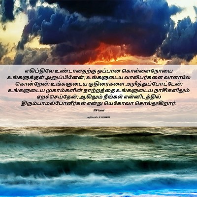 Picture 06 - ஆமோஸ் 4:10 TAMIRV - எகிப்திலே - Bible Verse Picture
