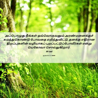 Picture 06 - ஆமோஸ் 4:3 TAMIRV - அப்பொழுது நீங்கள் - Bible Verse Picture