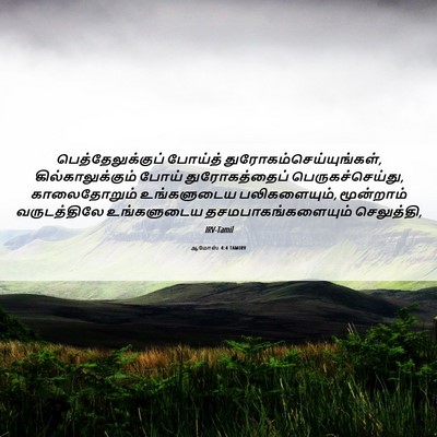 Picture 06 - ஆமோஸ் 4:4 TAMIRV - பெத்தேலுக்குப் - Bible Verse Picture