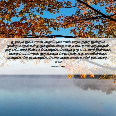 Picture 06 - ஆமோஸ் 4:7 TAMIRV - இதுவும் இல்லாமல், - Bible Verse Picture