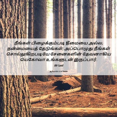 Picture 06 - ஆமோஸ் 5:14 TAMIRV - நீங்கள் - Bible Verse Picture