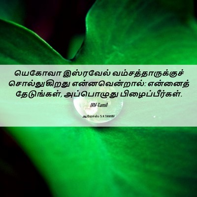 Picture 06 - ஆமோஸ் 5:4 TAMIRV - யெகோவா இஸ்ரவேல் - Bible Verse Picture
