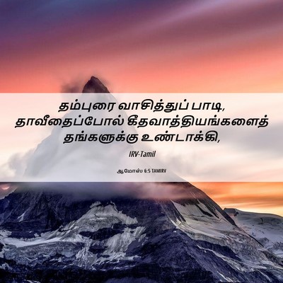 Picture 06 - ஆமோஸ் 6:5 TAMIRV - தம்புரை - Bible Verse Picture