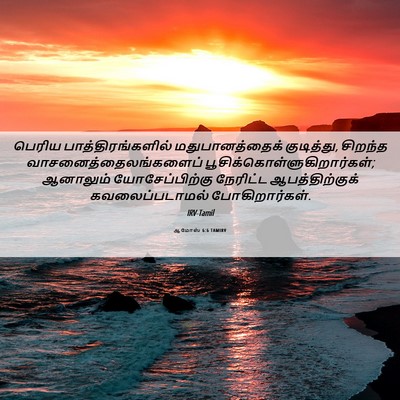Picture 06 - ஆமோஸ் 6:6 TAMIRV - பெரிய - Bible Verse Picture