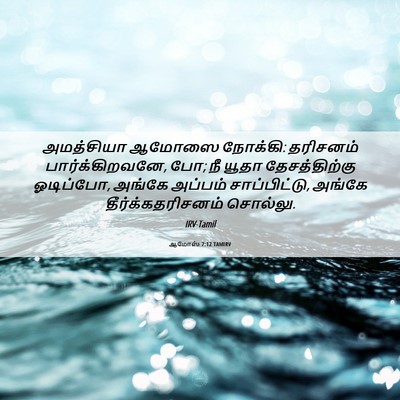Picture 06 - ஆமோஸ் 7:12 TAMIRV - அமத்சியா ஆமோஸை - Bible Verse Picture