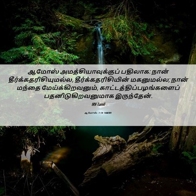 Picture 06 - ஆமோஸ் 7:14 TAMIRV - ஆமோஸ் - Bible Verse Picture