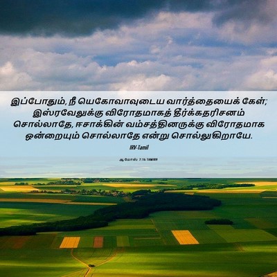 Picture 06 - ஆமோஸ் 7:16 TAMIRV - இப்போதும், நீ - Bible Verse Picture