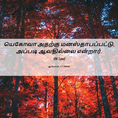Picture 06 - ஆமோஸ் 7:3 TAMIRV - யெகோவா அதற்கு - Bible Verse Picture