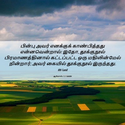Picture 06 - ஆமோஸ் 7:7 TAMIRV - பின்பு அவர் - Bible Verse Picture
